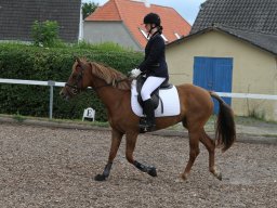 img_4653_web